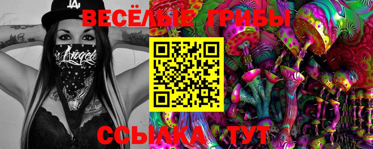 как найти наркотики  Галлюциногенные грибы мухоморы  Псилоцибиновые грибы мухоморы  Вход с VPN  Учалы 